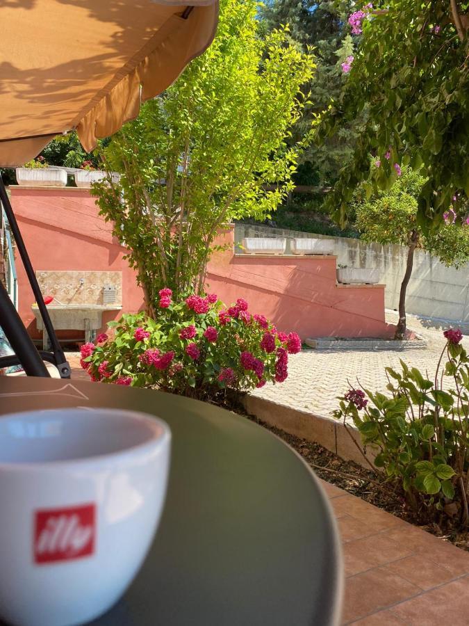 B&B Santa Lucia Silvi Paese ภายนอก รูปภาพ